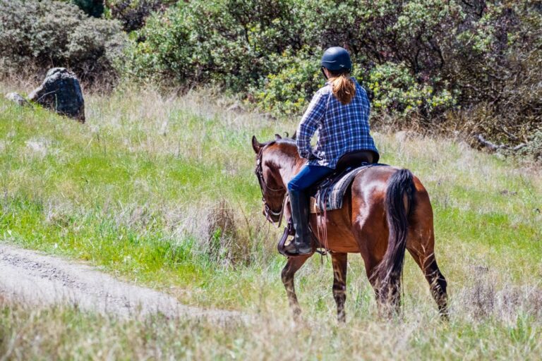Rider on horseback in the rolling California hills